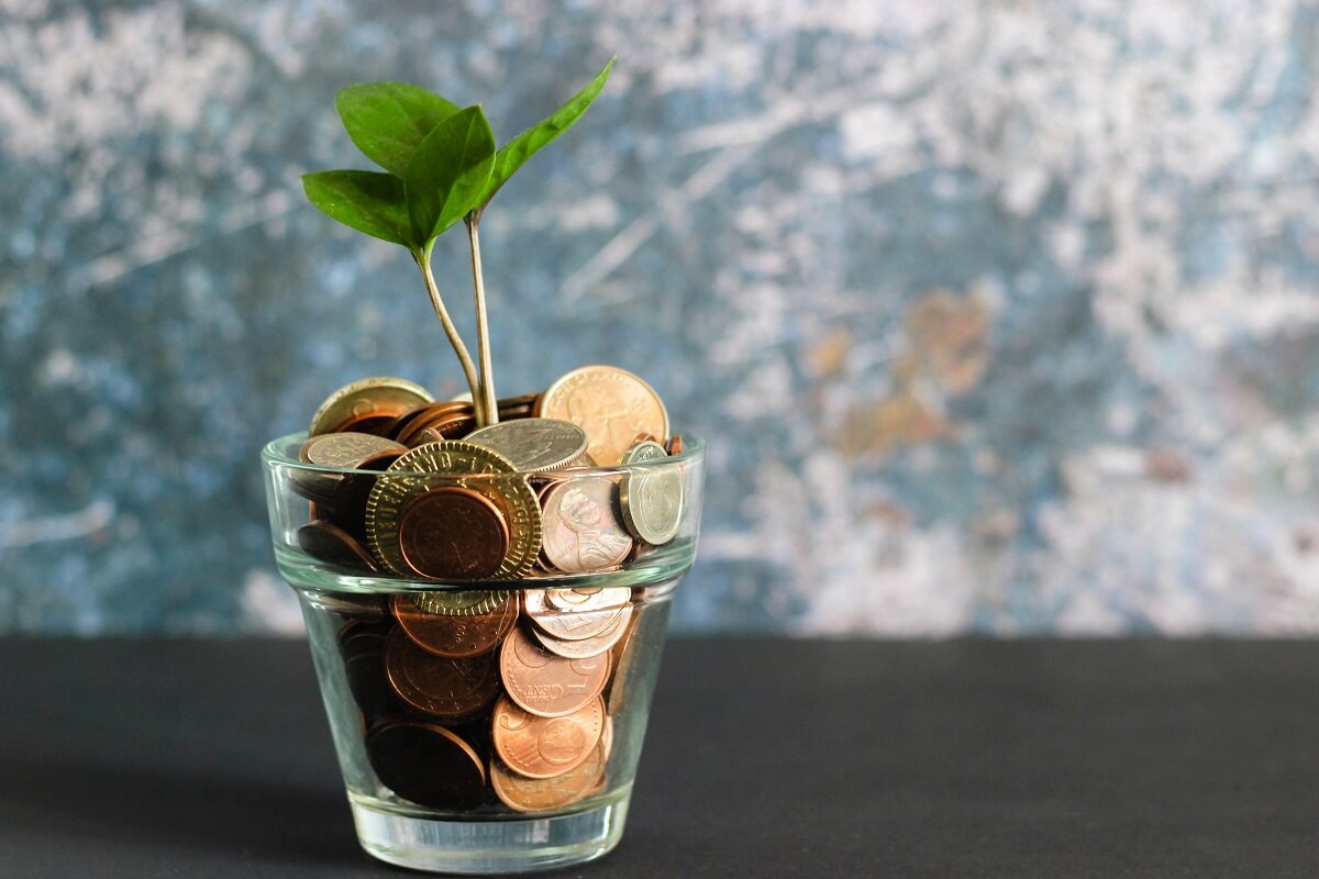 Glass jar filled with gold coins and a small green plant shoot coming out the top